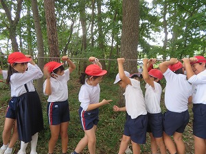 IMG_6837 IMG_6837