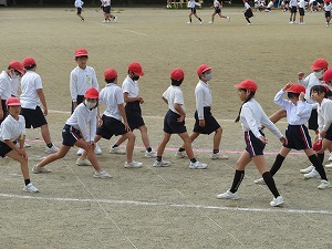 IMG_7106 IMG_7106