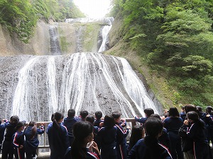 IMG_7233 IMG_7233