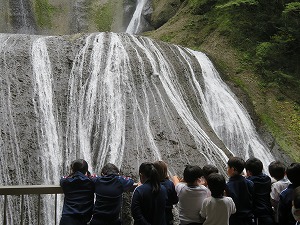 IMG_7242 IMG_7242