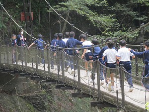 IMG_7266 IMG_7266