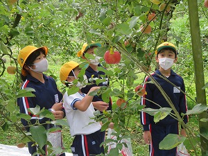 IMG_7279 IMG_7279