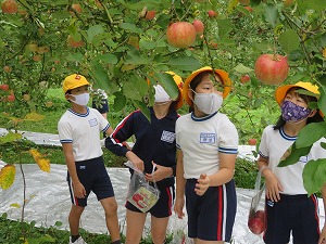 IMG_7280 IMG_7280