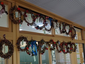 DSC00146 DSC00146