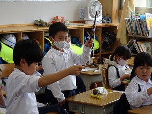 DSC00235 DSC00235