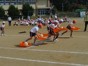 IMG_7285 IMG_7285