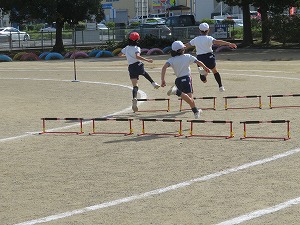 IMG_7292 IMG_7292