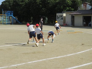 IMG_7293 IMG_7293