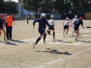 DSC00533 DSC00533