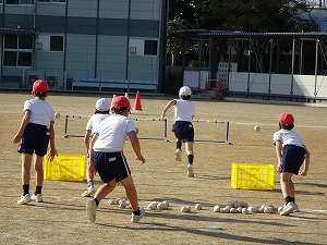 DSC00561 DSC00561