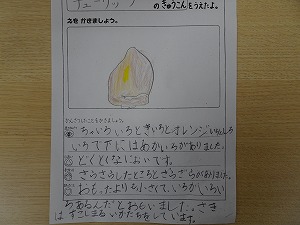 DSC00566 DSC00566