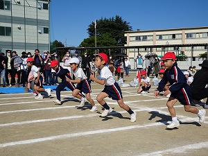 DSC00672 DSC00672