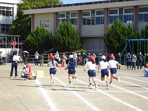 DSC00679 DSC00679