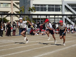 DSC00730 DSC00730