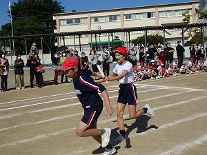 DSC00739 DSC00739