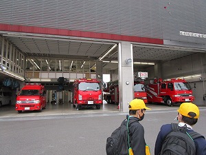 IMG_1867 IMG_1867