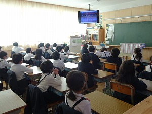 DSC04234 DSC04234