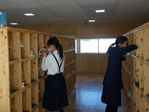 DSC04293 DSC04293
