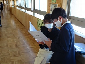 DSC04559 DSC04559