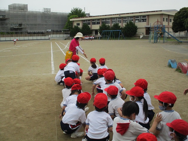 IMG_0371 IMG_0371