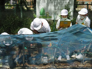IMG_3966 IMG_3966