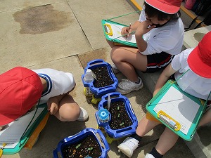 IMG_0391 IMG_0391