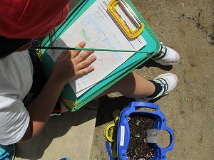 IMG_0393 IMG_0393