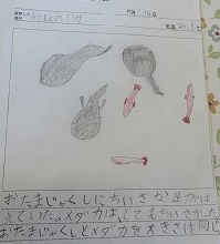 IMG_3971 IMG_3971