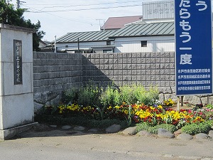IMG_0016 IMG_0016