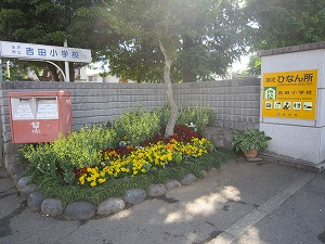 IMG_0017 IMG_0017