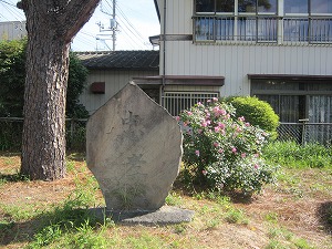 IMG_0020 IMG_0020