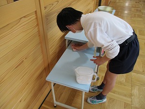 IMG_0438 IMG_0438