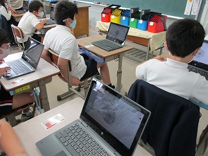 IMG_0449 IMG_0449