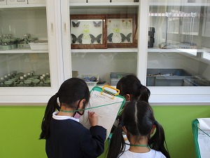 IMG_0454 IMG_0454