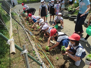 IMG_4006 IMG_4006