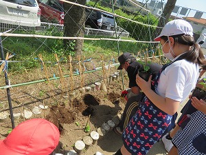 IMG_4004 IMG_4004