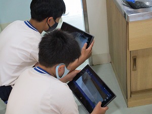 IMG_0493 IMG_0493