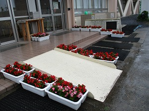 IMG_0512 IMG_0512