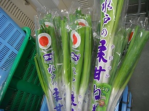 20210608 柔甘ねぎ