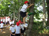 IMG_0520 IMG_0520