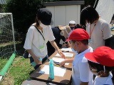 IMG_0515 IMG_0515