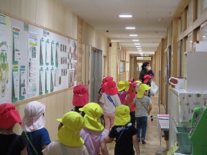 IMG_0571 IMG_0571