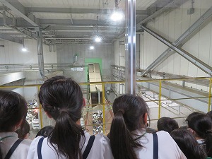 IMG_4136 IMG_4136