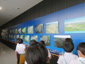 IMG_4201 IMG_4201