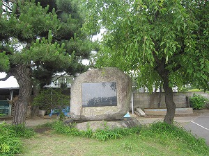 (3)の写真 (3)の写真
