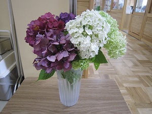 IMG_0025 IMG_0025