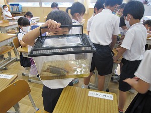 IMG_0026 IMG_0026