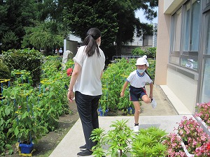 IMG_0061 IMG_0061