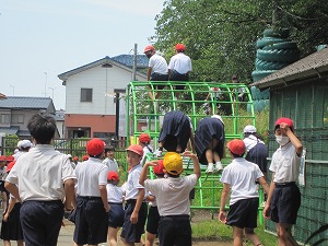IMG_0060
