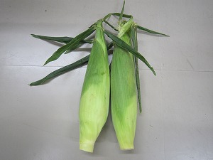 IMG_0062 IMG_0062